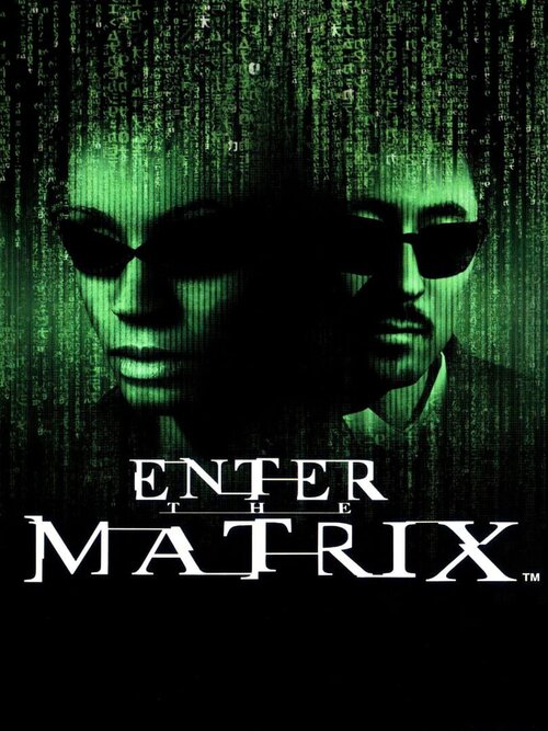 Enter the Matrix poster