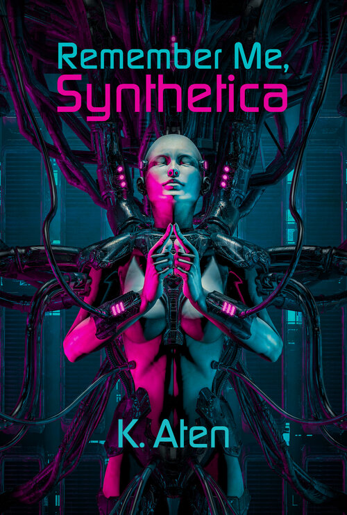Remember Me, Synthetica poster