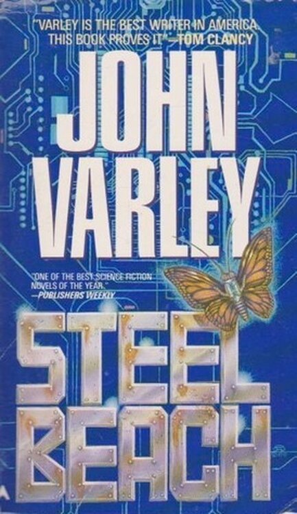 Steel Beach poster