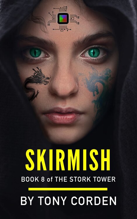 Skirmish poster