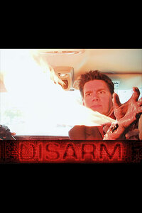 DISARM (2013)